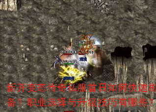 �¿���̬����˽��������ο���ˢװ����ְҵѡ����������������Щ��