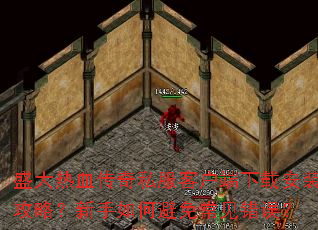 ʢ����Ѫ����˽���ͻ������ذ�װ���ԣ�������α��ⳣ������