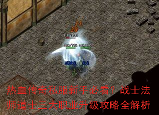 ��Ѫ����˽�����ֱؿ���սʿ��ʦ��ʿ����ְҵ��������ȫ����