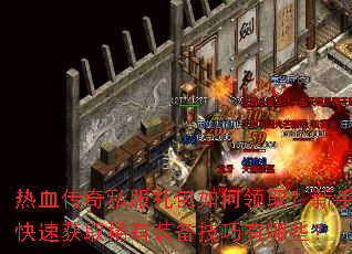 ��Ѫ����˽����������ȡ�����ֿ��ٻ�ȡϡ��װ����������Щ��