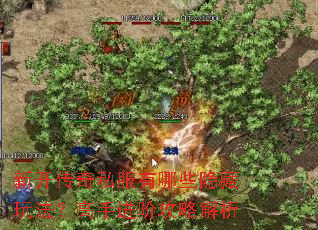 �¿�����˽������Щ�����淨�����ֽ��׹��Խ���