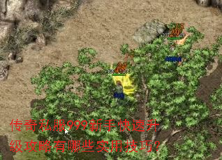 ����˽��999���ֿ���������������Щʵ�ü��ɣ�