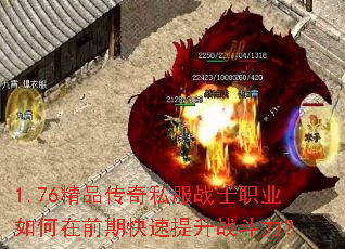 1.76��Ʒ����˽��սʿְҵ�����ǰ�ڿ�������ս������