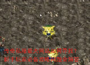 ����˽�������վ���Ѱ�ң�������ұر���������ȫ���