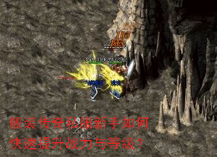 ��װ����˽��������ο�������ս����ȼ���