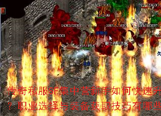 ����˽��SF����Ӫ������ο���������ְҵѡ����װ����ȡ��������Щ��