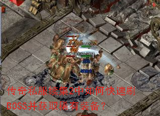 ����˽������2����ο���ˢBOSS����ȡϡ��װ����