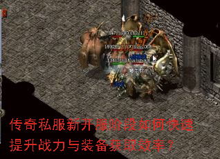 ����˽���¿����׶���ο�������ս����װ����ȡЧ�ʣ�