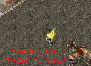 ����˽���տ�һ��������ο�������ս����ȼ���