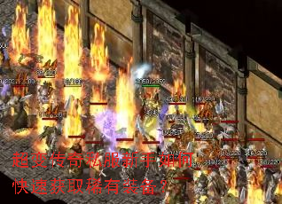 ���䴫��˽��������ο��ٻ�ȡϡ��װ����