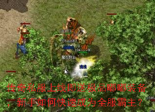 ����˽�����߼��ͼ�Ʒ��װ����������ο��ٳ�Ϊȫ��������