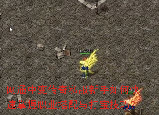 网通中变传奇私服新手如何快速掌握职业搭配与打宝技巧? 网通中变传奇私服新手如何快速掌握职业搭配与打宝技巧?