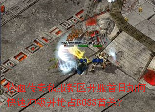 ��Ѫ����˽����������������ο��ٳ弶����ռBOSS��ɱ��