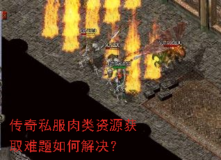 传奇私服肉类资源获取难题如何解决? 传奇私服肉类资源获取难题如何解决?