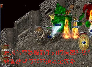 ���紫��˽��������ο���������װ����ȡ��BOSS��սȫ����