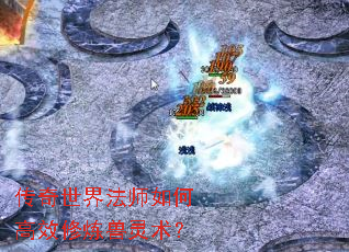 传奇世界法师如何高效修炼兽灵术? 传奇世界法师如何高效修炼兽灵术?