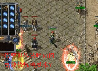 传奇世界法师如何高效修炼兽灵术? 传奇世界法师如何高效修炼兽灵术?