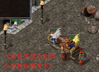 传奇世界法师如何高效修炼兽灵术? 传奇世界法师如何高效修炼兽灵术?