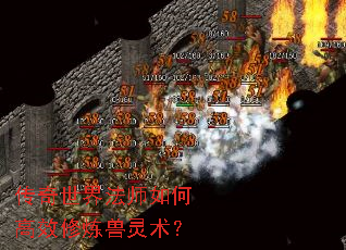 传奇世界法师如何高效修炼兽灵术? 传奇世界法师如何高效修炼兽灵术?