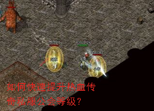 ��ο���������Ѫ����˽������ȼ���