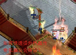 ��ο���������Ѫ����˽������ȼ���