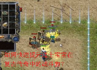 ��ο���������ʿ�����ڸ��Ŵ����е�ս������