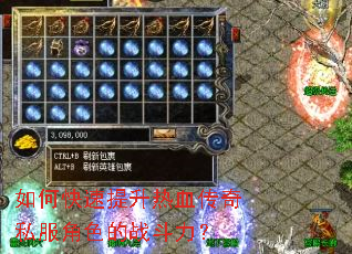 ��ο���������Ѫ����˽����ɫ��ս������