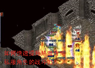 ��ο���������Ѫ����˽����ɫ��ս������