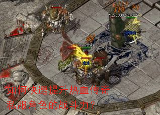 ��ο���������Ѫ����˽����ɫ��ս������