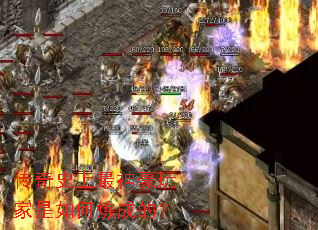 ����ʷ������������������ɵģ�