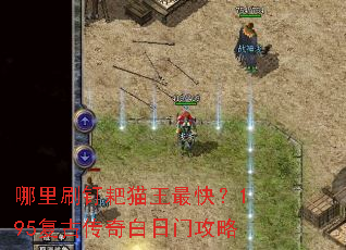 ����ˢ����è����죿195���Ŵ�������Ź���