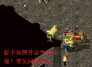 ������ο��贫��˽��������������