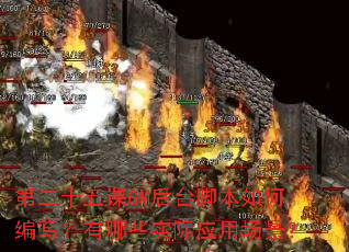 �ڶ�ʮ���GM��̨�ű���α�д������Щʵ��Ӧ�ó�����