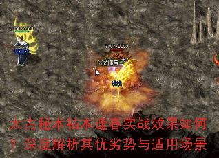 ̫��������ľ�괺ʵսЧ����Σ���Ƚ����������������ó���