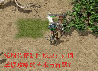 私服传奇制胜秘诀:如何掌握攻略的艺术与智慧? 私服传奇制胜秘诀:如何掌握攻略的艺术与智慧?