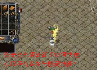 �����̬��SF������ο��ٻ�ȡϡ��װ�������ؼ��ܣ�