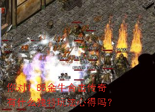 你对1.85金牛合击传奇有什么独特玩法心得吗? 你对1.85金牛合击传奇有什么独特玩法心得吗?