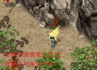 如何快速查看队伍成员职业与等级分布? 如何快速查看队伍成员职业与等级分布?