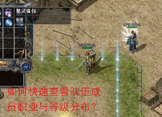 如何快速查看队伍成员职业与等级分布? 如何快速查看队伍成员职业与等级分布?