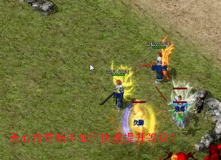 ���Ĵ���������ο��������ȼ���