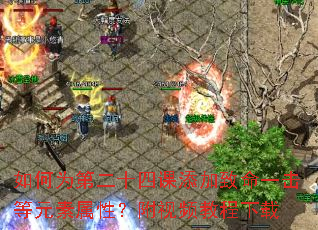 ���Ϊ�ڶ�ʮ�Ŀ���������һ����Ԫ�����ԣ�����Ƶ�̳�����