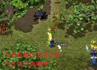 ����˽�������������ͼ�������Щ��