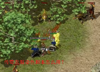 �����·�Ⱦɫ�ű���ô�ã�