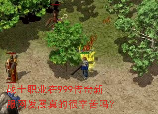 սʿְҵ��999�����·�����չ��ĺ�������