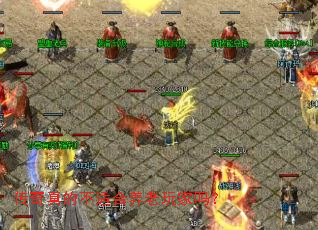 ������Ĳ��ʺ����������