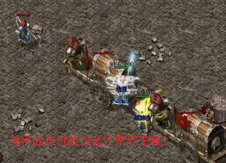 ��γɹ���ս��Ѫ����ʬ���