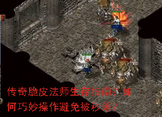 �����Ƥ��ʦ����ָ�ϣ��������������ⱻ��ɱ��