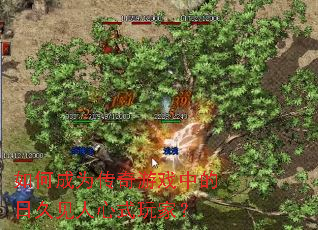 ��γ�Ϊ������Ϸ�е��վü�����ʽ��ң�