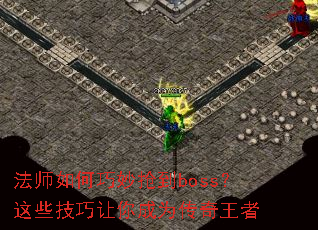 ��ʦ�����������boss����Щ���������Ϊ��������