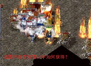 ��������ڴ���sf����λ�ã�